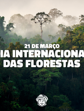 Florestas: A Essência da Vida - Nosso Compromisso com a Preservação Ambiental